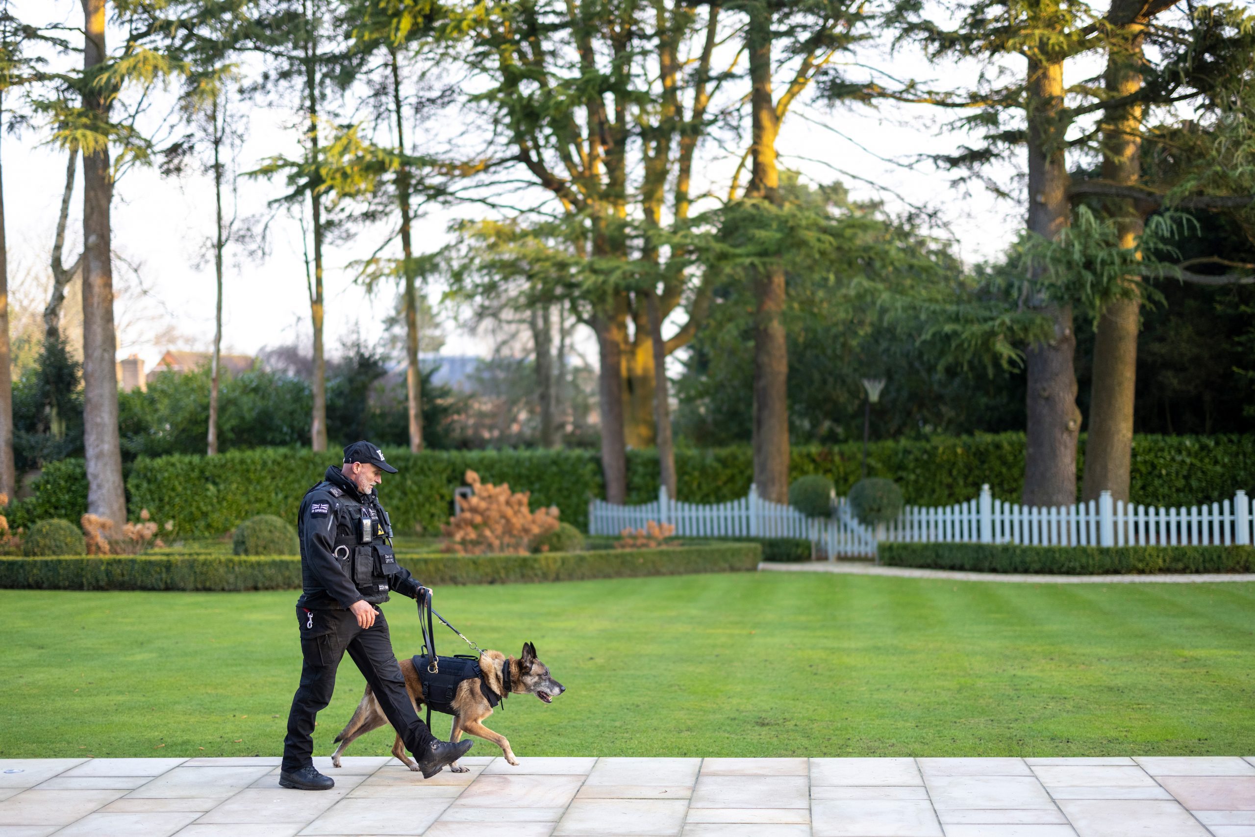 Dog-Patrols-1-SFW